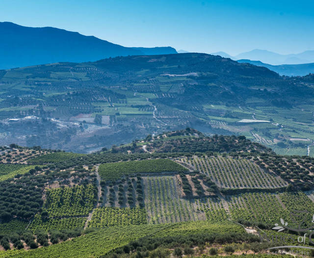 Αμπελώνες Crete Wine Paths