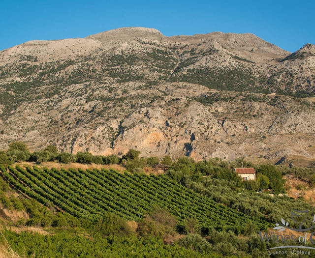 Αμπελώνες Crete Wine Paths