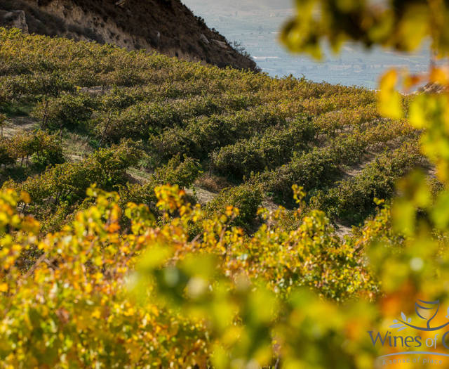 Αμπελώνες Crete Wine Paths