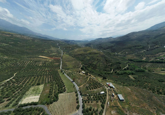Galatas Vineyards
