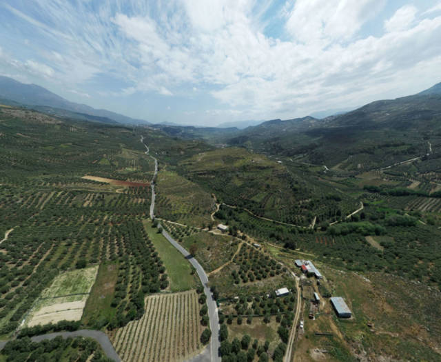 Galatas Vineyards