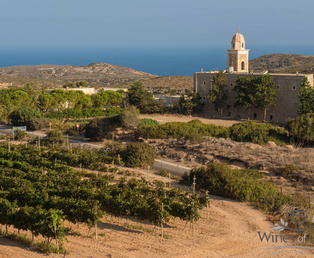 Αμπελώνες Crete Wine Paths και η Μονή Τοπλού