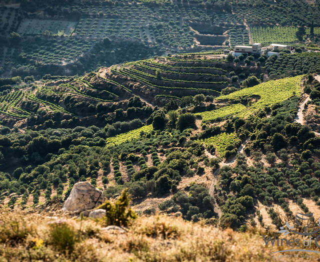 Αμπελώνες Crete Wine Paths