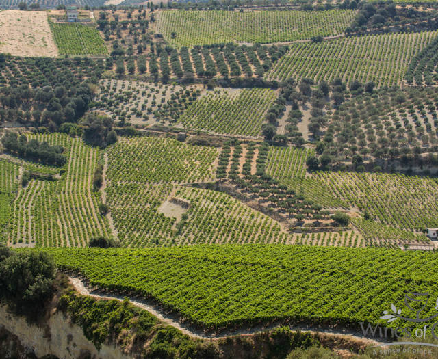 Αμπελώνες Crete Wine Paths