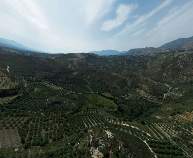 Sokaras Vineyards