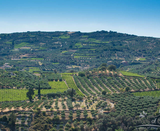 Αμπελώνες Crete Wine Paths