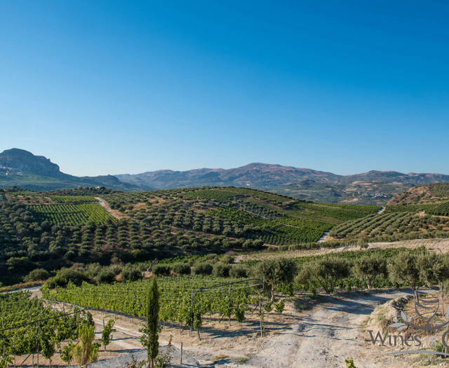 Αμπελώνες Crete Wine Paths