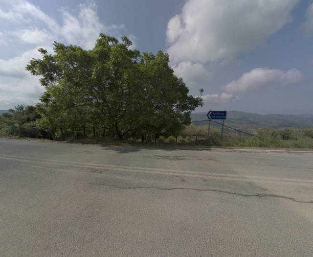 Road to Choudetsi